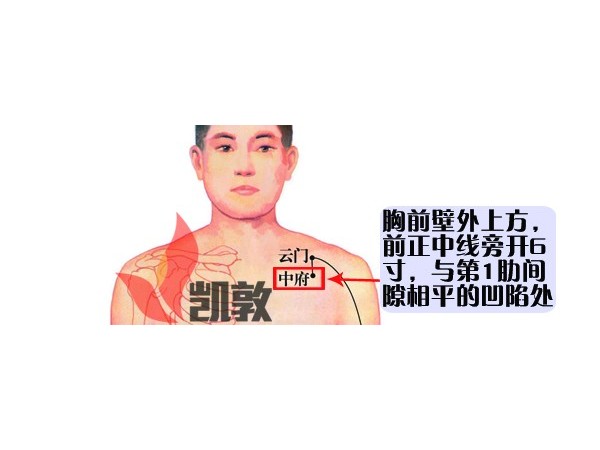 【凱敦穴位知識】中府穴
