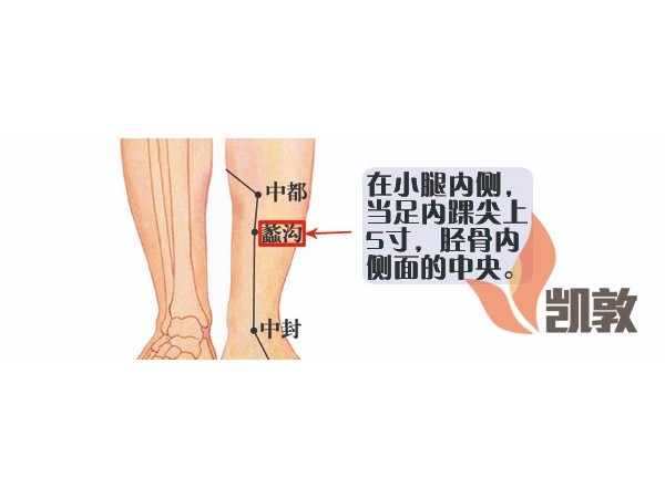 【凱敦穴位知識】蠡溝穴