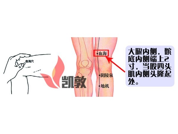 【凱敦穴位知識】血海穴