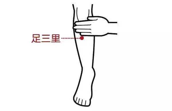 3.webp
