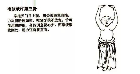 7.webp