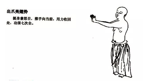 11.webp