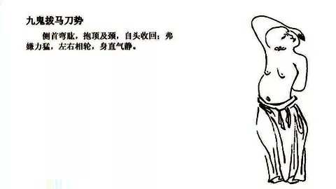 12.webp