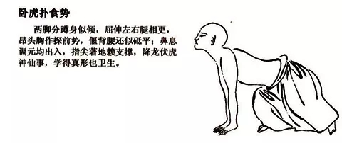 15.webp