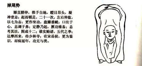 17.webp