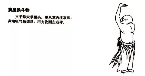 8.webp