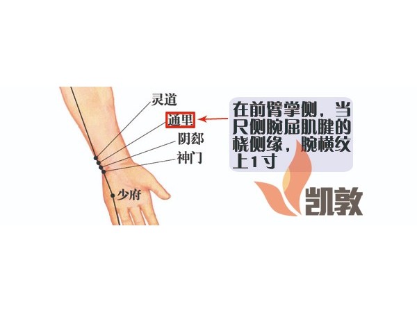 【凱敦穴位知識】通里穴
