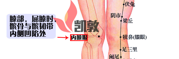 38.內(nèi)膝眼穴