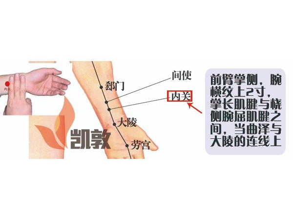 【凱敦穴位知識】內(nèi)關(guān)穴